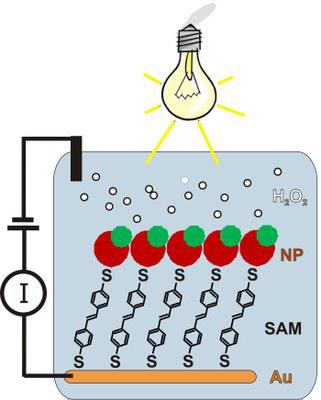 Nanosensor