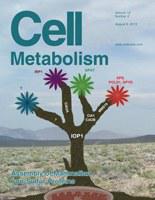 Cell Metabolism