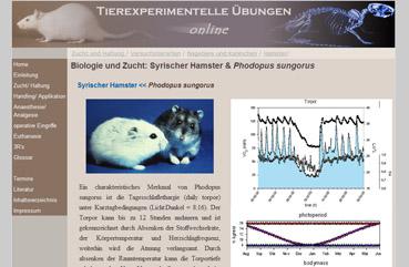 bild bild