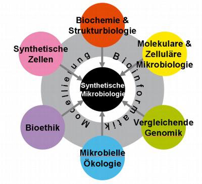 Beteilgte