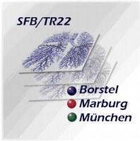 Logo SFB/TR22