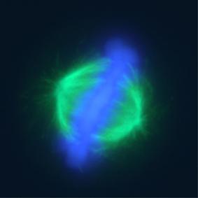 spindel1 spindel1