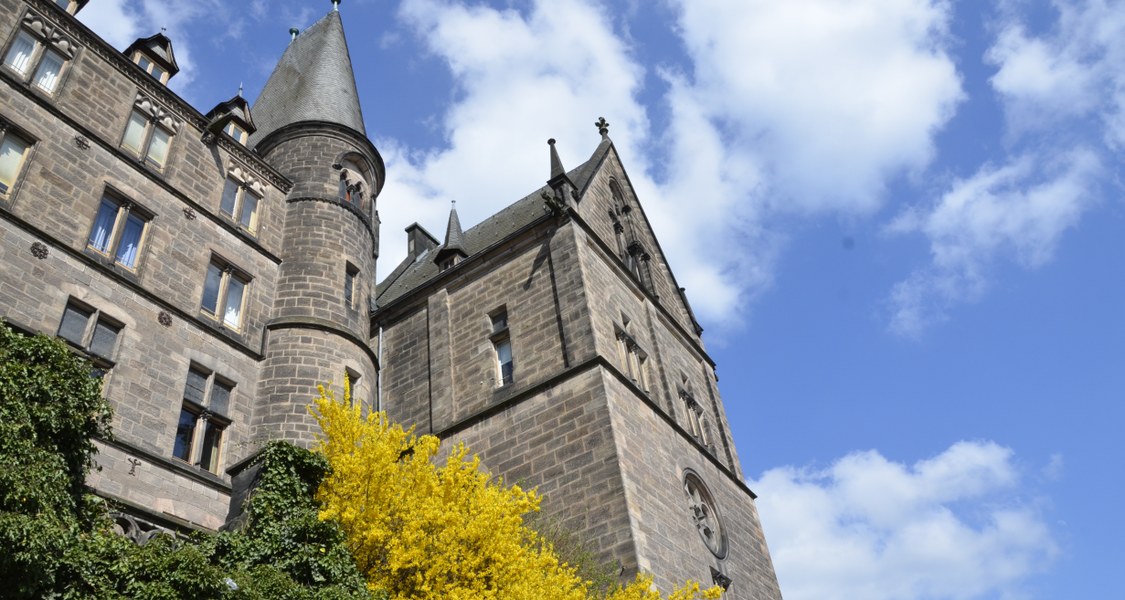 Foto der Alten Universität im Frühling