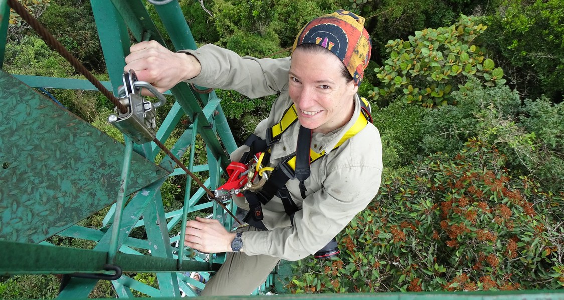 Ansicht von Turm mit heraufkletternder Wissenschaftlerin