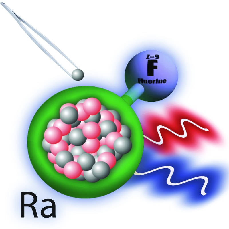 Fügt man zusätzliche Neutronen zum Radiumkern in einem Radiumfluoridmolekül hinzu, so verschieben sich die Energieniveaus, fand ein internationales Team um den Marburger Chemietheoretiker Robert Berger heraus. Abbildung: Silviu-Marian Udrescu