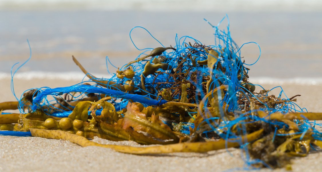 Kunststoff gelangt als Mikroplastik aus der Umwelt in die menschliche Nahrungskette - was die Partikel dort anrichten, hat ein Forschungsteam der Uni Marburg untersucht. Foto: colourbox.de