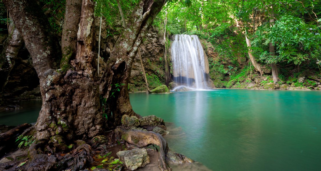 Wasserstelle mit Wasserfall in einer Dschungelszene