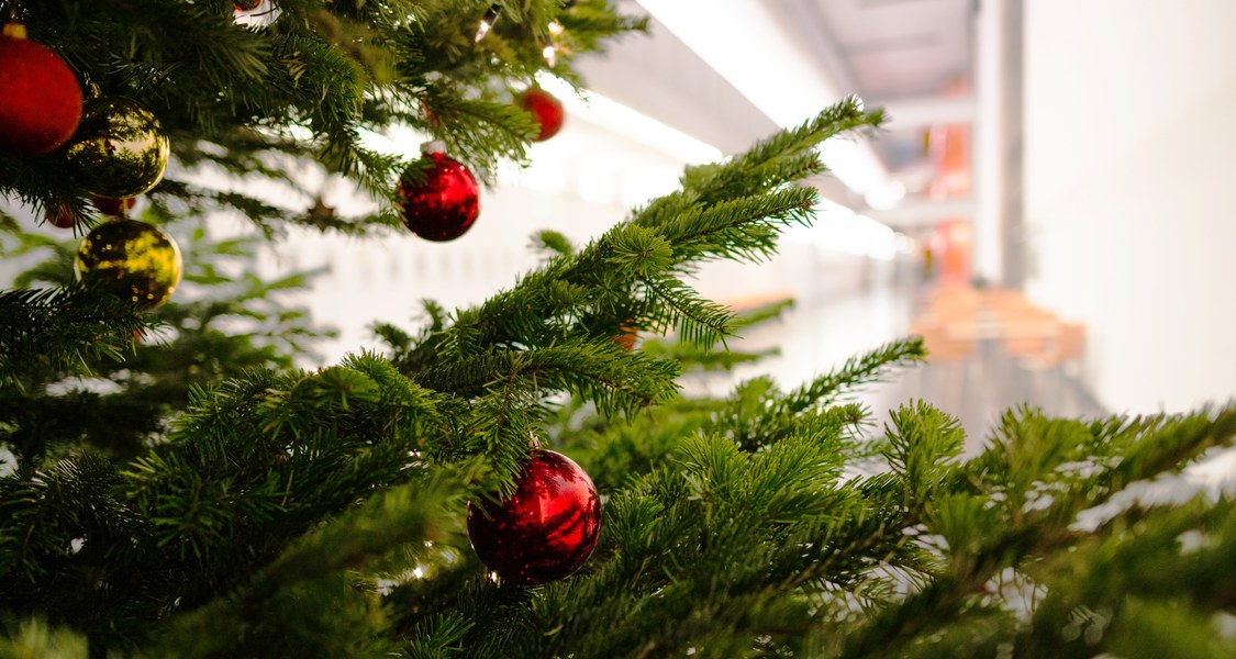 Fachbereich Chemie, Detailaufnahme Weihnachtsbaum