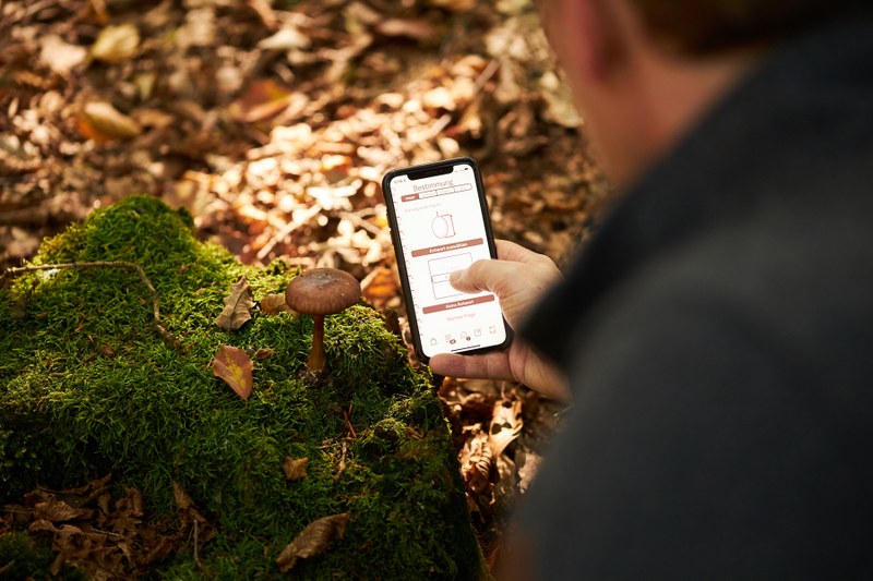 Mobiltelefon, auf dem die App zu sehen ist. Im Hintergrund Wald