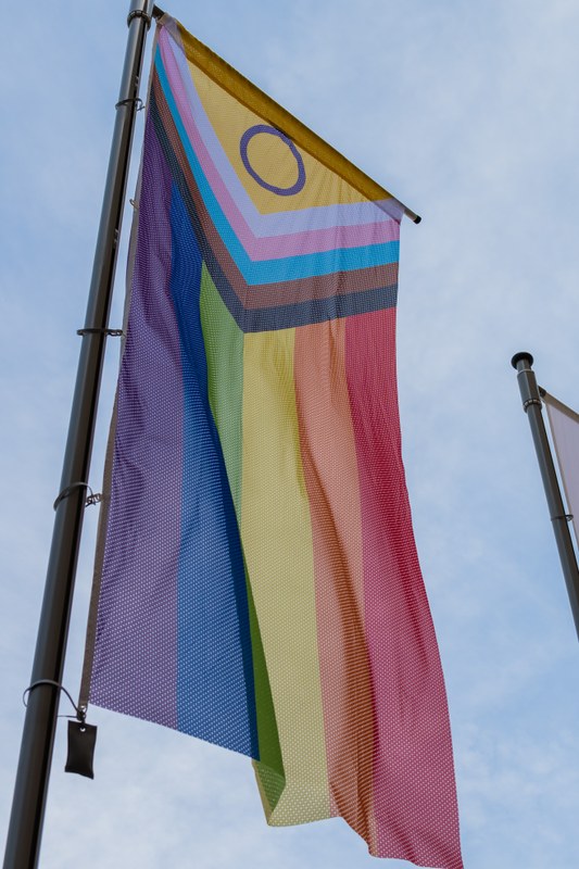 Foto der Inter* Inclusive Pride Flag