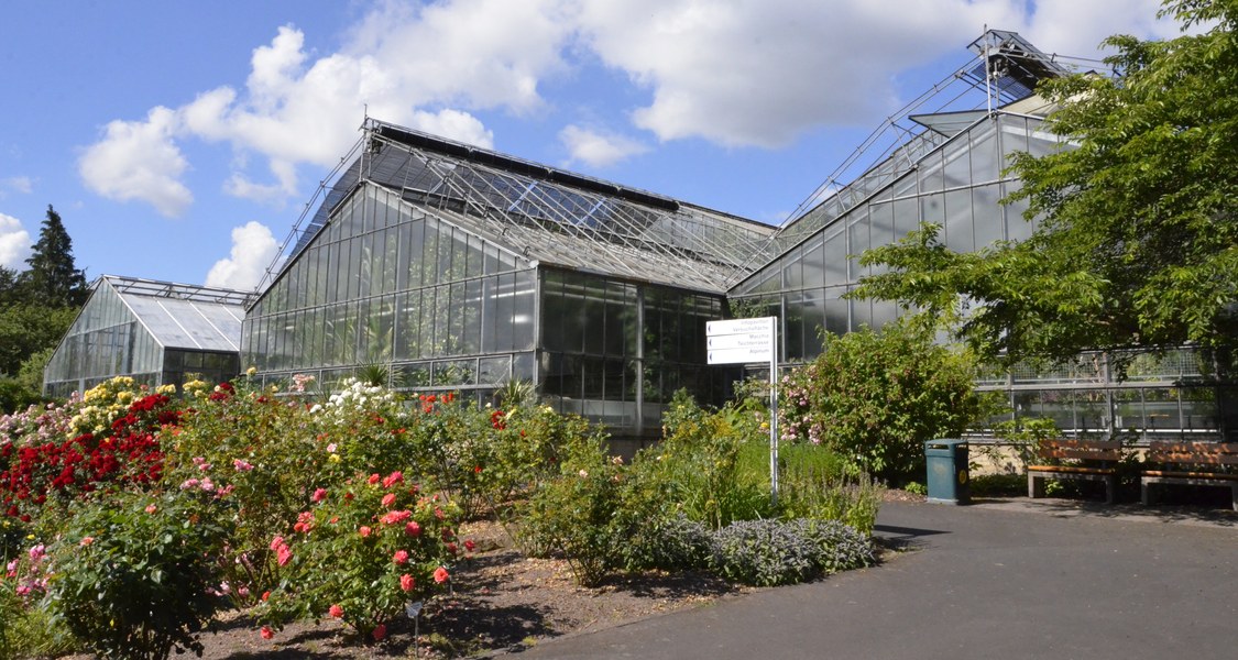 Gewächshäuser Botanischer Garten