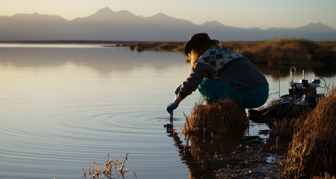 Salzseen in der chilenischen Wüste bieten extreme Umweltbedingungen für Bakterien – Judith Klatt vom Marburger „Zukunftszentrum Mikrokosmos Erde“ und ihre Forschungsgruppe schauten sich die Lebensgemeinschaften genauer an