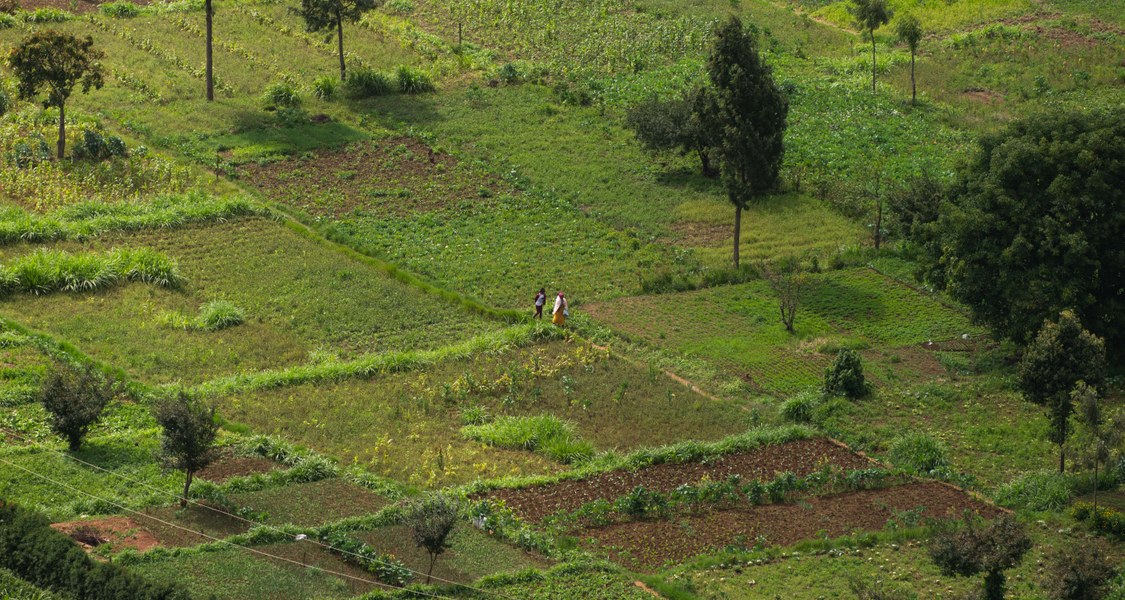 Landwirtschaft auf vielen, kleinen Parzellen in Ostafrika