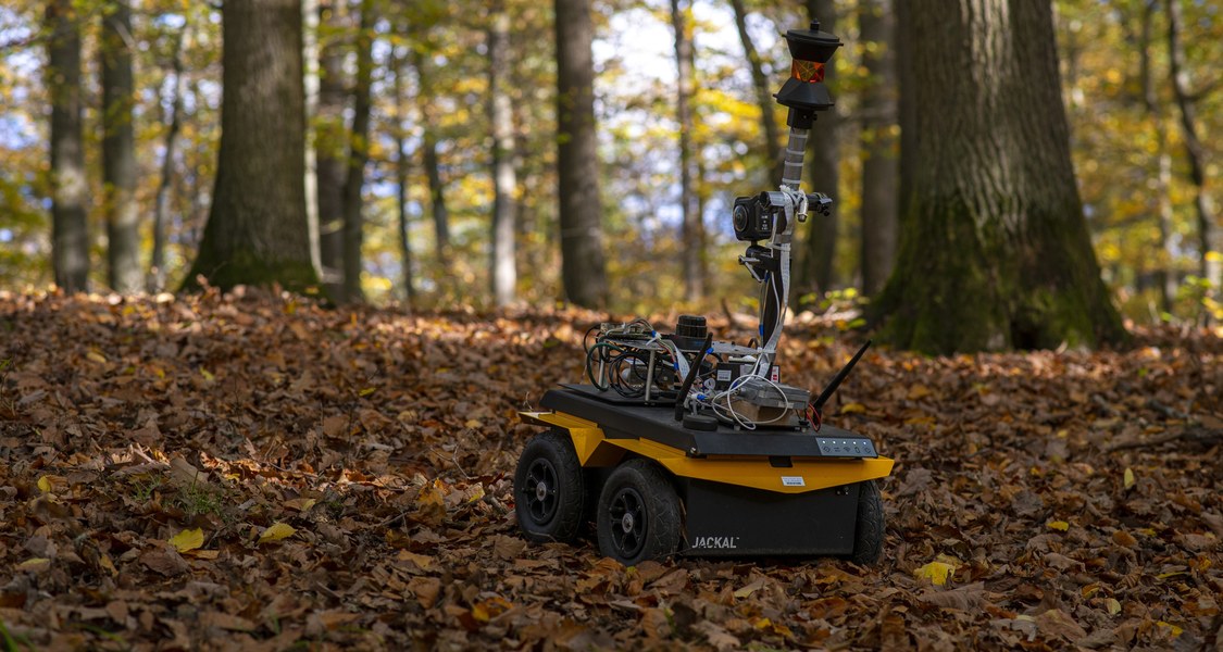 Robotergestützte Sensoren helfen, die Datengewinnung und -verarbeitung zu verbessern, um den Wandel der Artenvielfalt umfassend zu erheben.  (Foto: Maik Dobbermann