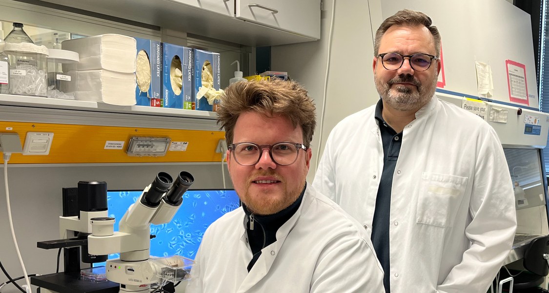 die Mediziner Niklas Gremke und Thorsten Stiewe im Labor