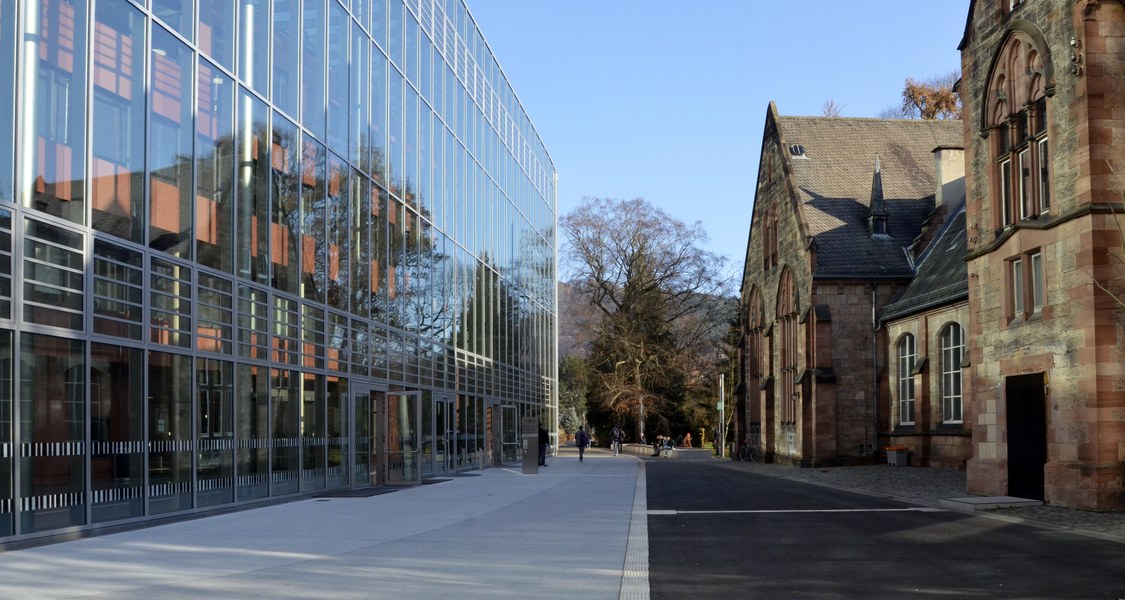 Blick zwischen der Universitätsbibliothek und dem Schäferbau auf den Botanischen Garten.