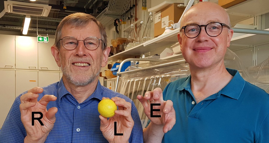 Roland Lill und Oliver Stehling demonstrieren die Toxizität spiegelbildlicher Enzyme