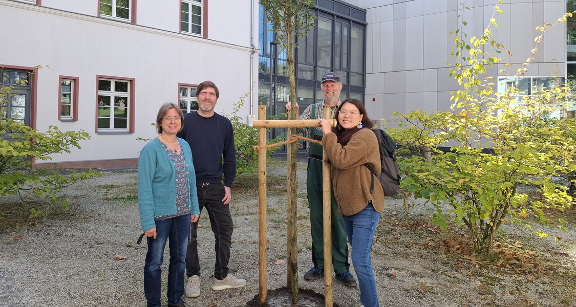 vier Menschen um Baumpflanzung