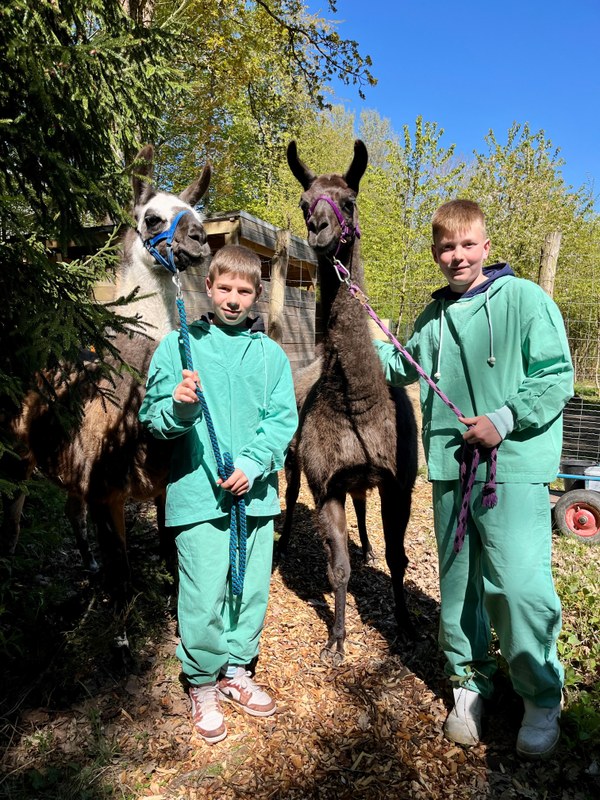 Zwei Schüler mit Lamas des Botanischen Gartens
