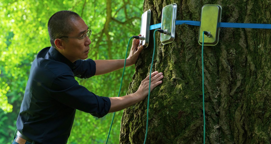Foto von einer Person an einem Baum
