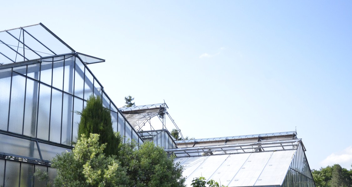 Foto der Gewächshäuser