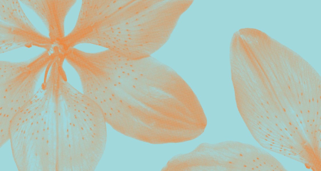 Ausschnitt des Werbeplakats mit blauem Hintergrund und organgen Lilien