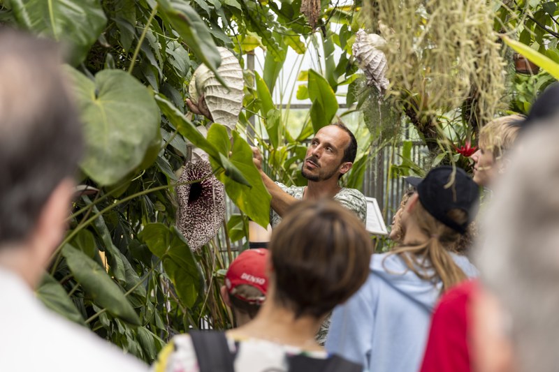 Besucherinnen und Besucher im Gewächshaus