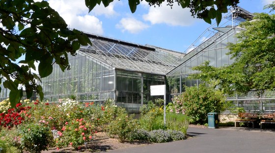 Neuer Garten Botanischer Garten PhilippsUniversität Marburg