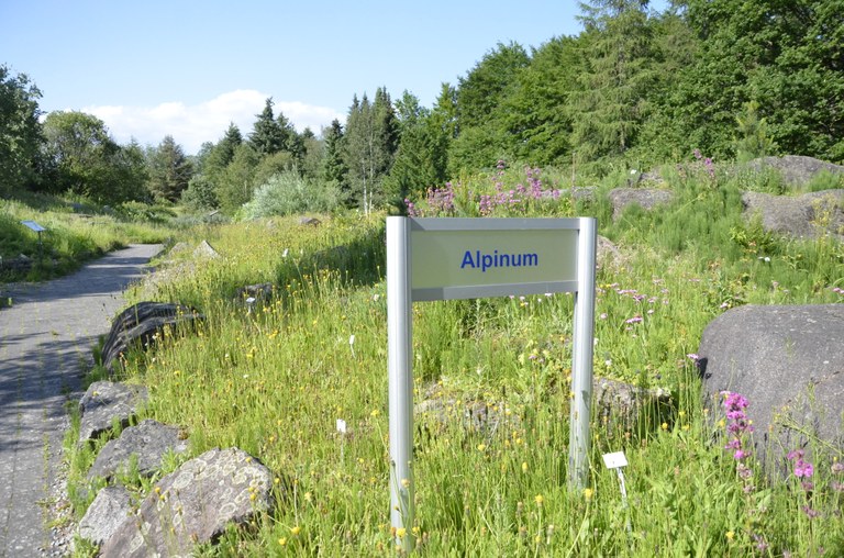 Blick auf das Alpinum
