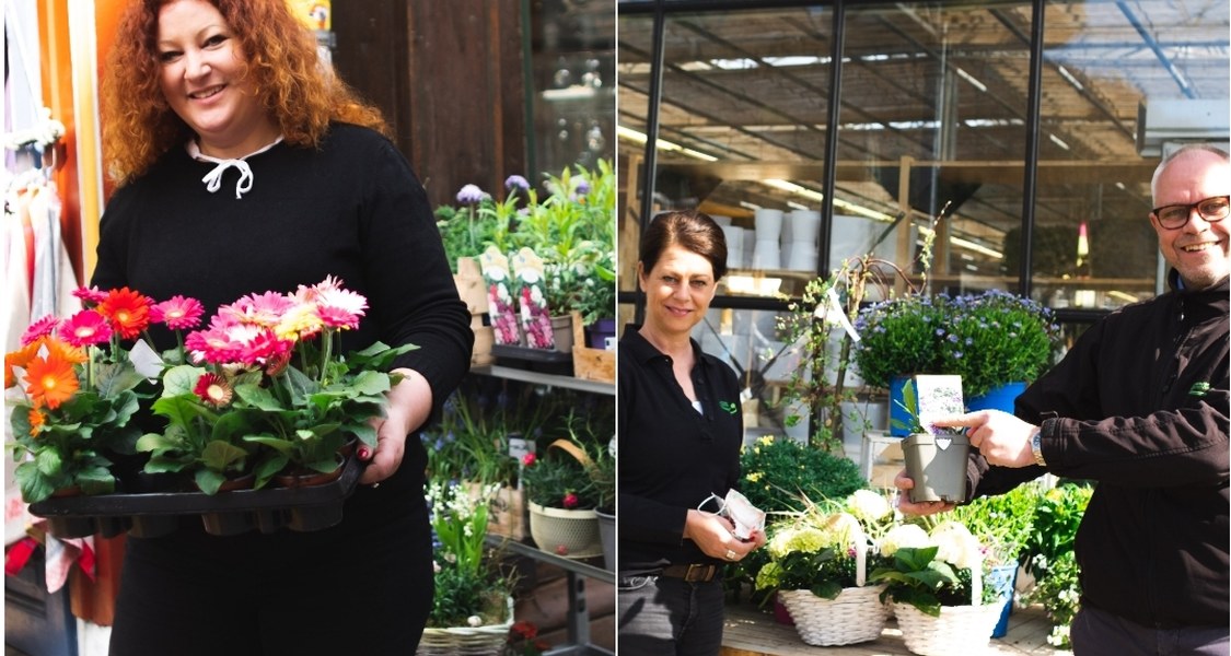 Die Marburger Unternehmen Landfräulein und Marburger Gartencenter unterstützen die Spendenkampagne "Ich blüh für dich. Spende für mich." mit Aktionen für Kundinnen und Kunden. Links zu sehen ist Sandra Steidl-Hummel, Inhaberin des Landfräuleins. Auf der rechten Seite finden sich Thomas Hilberg und Silke Siebelist, die das Gartencenter leiten.