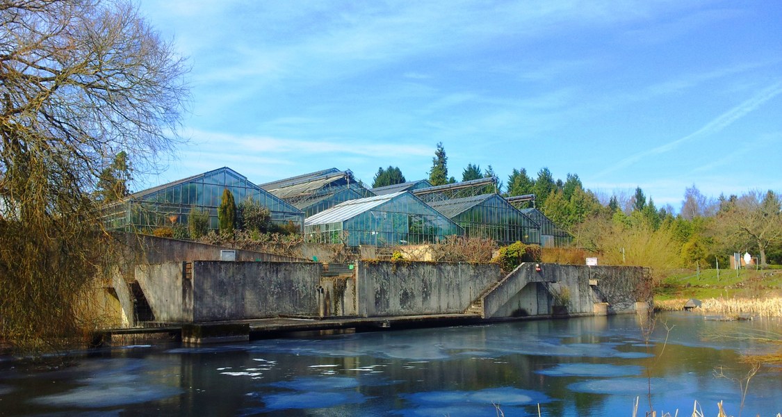 Das Foto zeigt den Botanischen Garten Marburg im Winter.