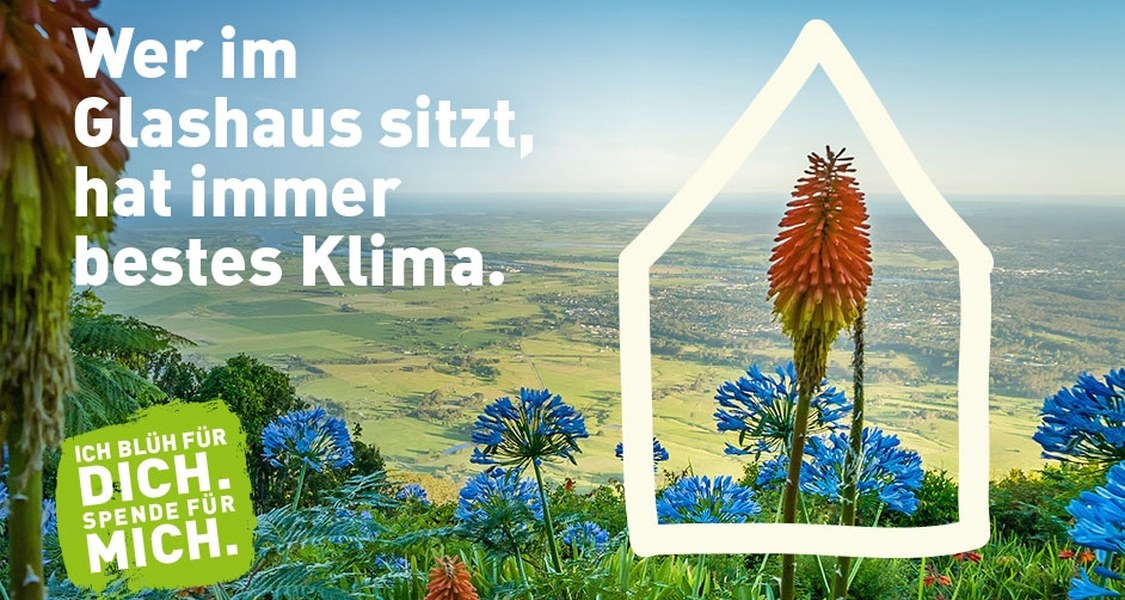 Wer im Glashaus sitzt, hat immer bestes Klima.