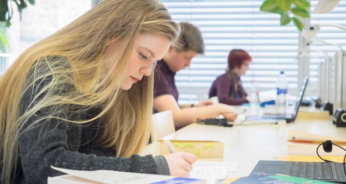 Studierende beim Lernen