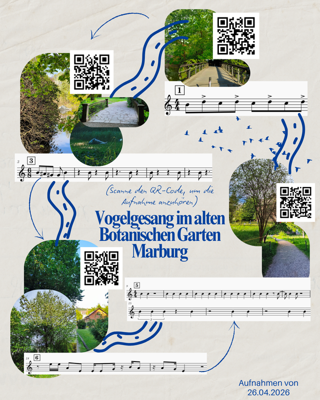 Die Darstellung ist eine Collage aus mehreren Bildausschnitten aus dem Alten Botanischen Garten in Marburg. Man sieht Bäume, unterschiedliche Wege und Brücken, die durch den Garten führen. Vier QR-Codes führen zu Aufnahmen von Vogelgesang aus dem Garten. Die Vogellaute sind zudem durch Notationen dargestellt.