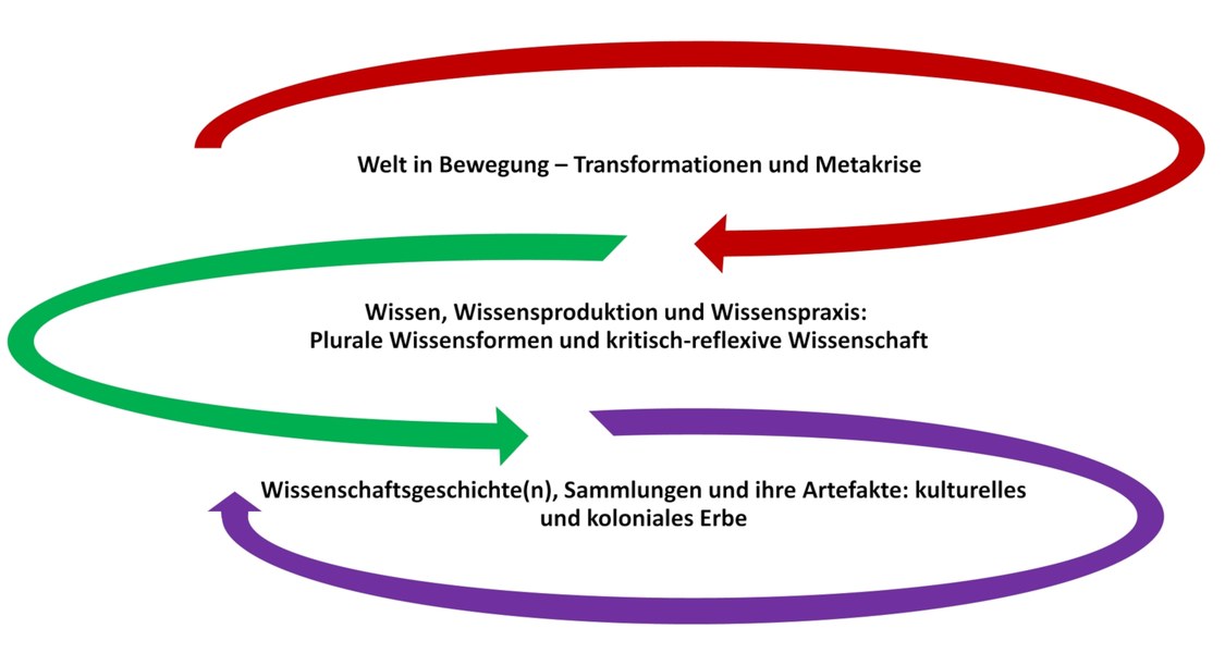 Die Grafik zeigt drei geschwungene aufeinanderfolgende Pfeile in den Farben rot, grün und lila. Diese Pfeile umkreisen spiralförmig die drei genannten Fokusthemen des FB 03. Rot: Welt in Bewegung-Transformationen und Metakrise. Grün: Wissen, Wissensproduktion und Wissenspraxis: Plurale Wissensformen und kritisch-reflexive Wissenschaft. Lila: Wissenschaftsgeschichte(n), Sammlungen und ihre Artefakte: kulturelles und koloniales Erbe.