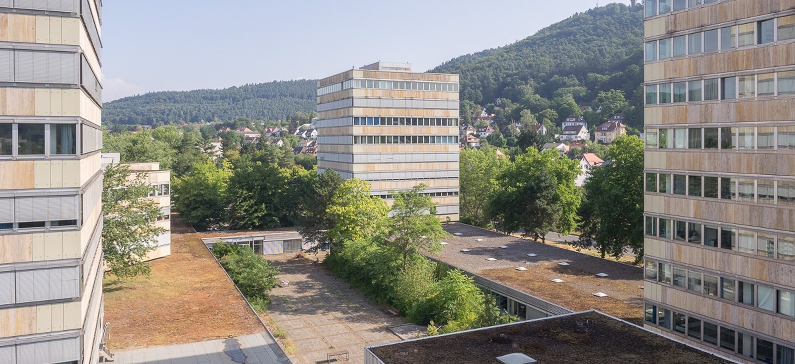 Institut für Politikwissenschaft - Politikwissenschaft - Philipps-Universität Marburg