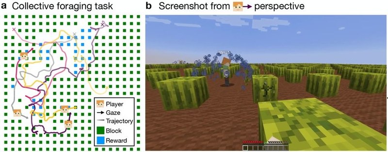 Abbildung aus dem Paper von Wu et al., 2925, Nature Communications. Zwei Bildbestandteile: a) Karte "Collective Foraging Task" mit beispielhaften Bewegungsrouten und Legende, b) Screenshot aus Sicht eines Spielenden in der Minecraft-Umgebung