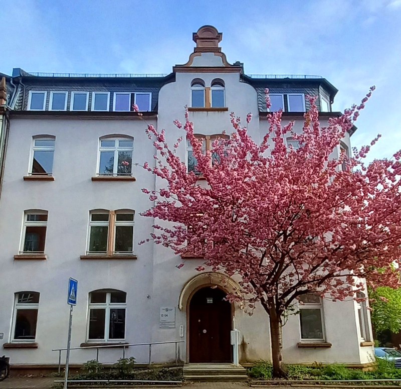 Foto des Gebäudes Schulstr. 12.