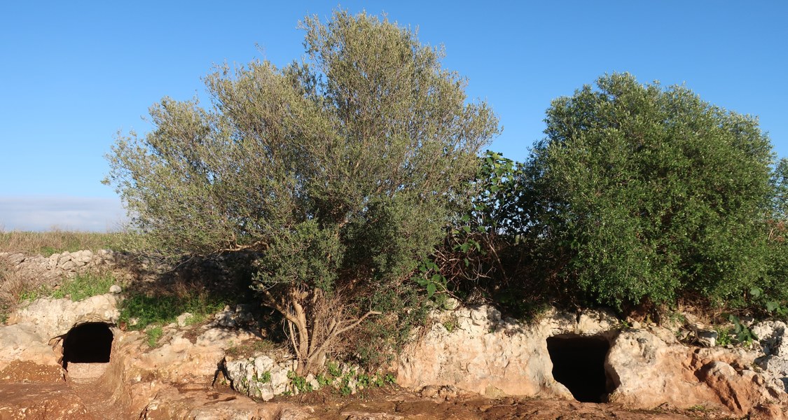»The catacombs of Scorrione: new perspectives on rock-cut landscapes in Late Antique and Early Medieval Sicily"