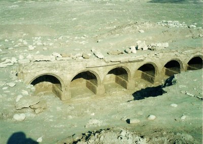 Transformation of Institutional Landscapes at Dehqāed (Iran, Borāzjān region)