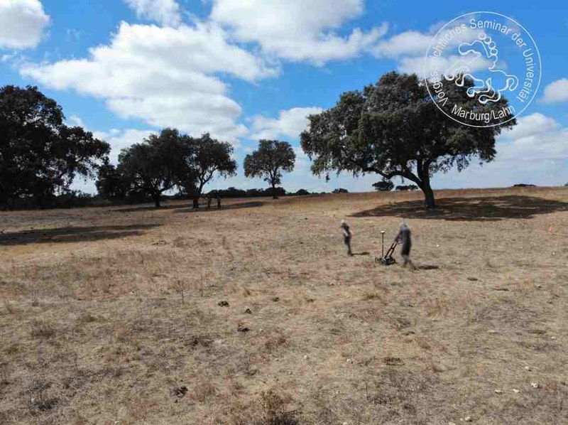 GPR-survey in Herdade de Defesa III.