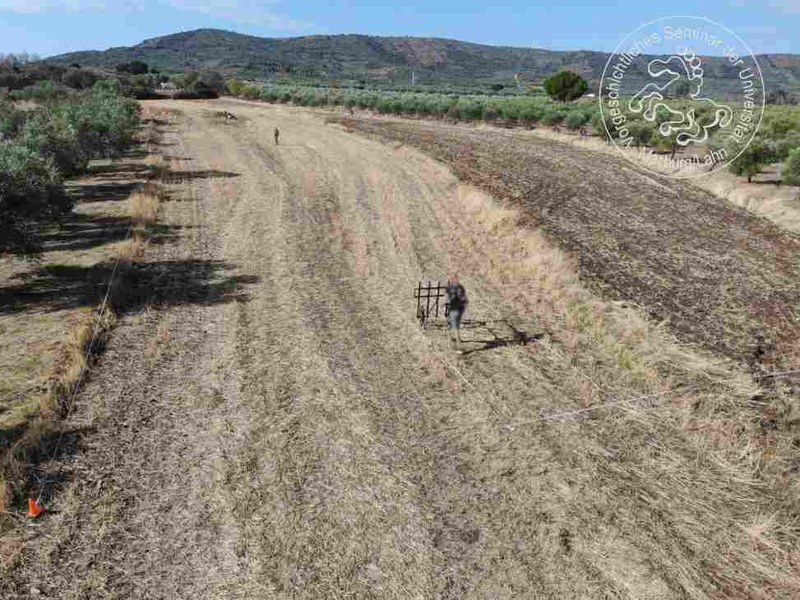 Measurements in the immediate peripheral area of Regina Turdulorum, "La Pepa" site.