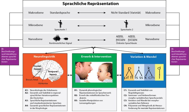 Forschungsprogramm des GRK 2700 mit den drei Bereichen "Neurolinguistik", "Erwerb und Intervention", sowie "Variation und Wandel"