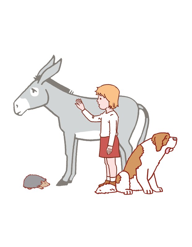 Auf dem Bild sind ein Esel, ein Mädchen, ein Igel und ein Hund abgebildet. Das Mädchen streichelt den Esel.