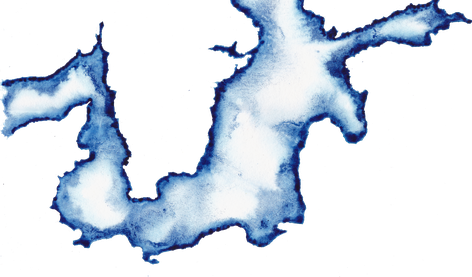 Mare Balticum als transparente Tintenzeichnung