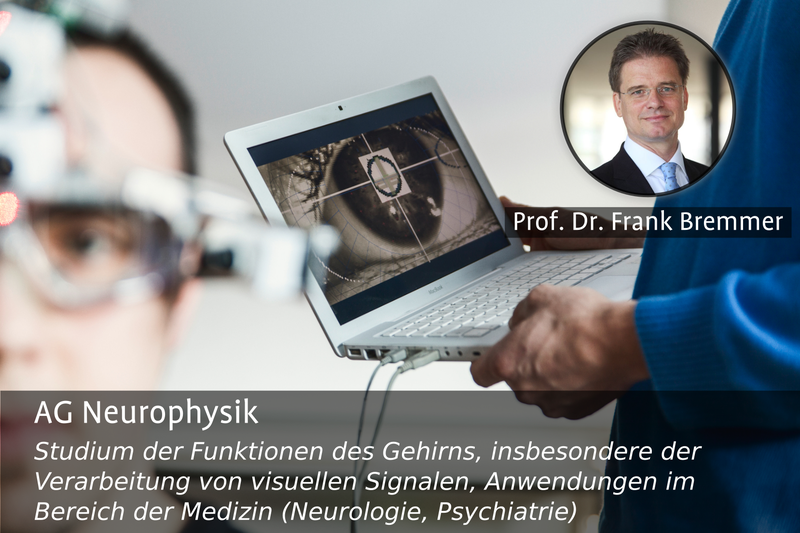 AG Neurophysik