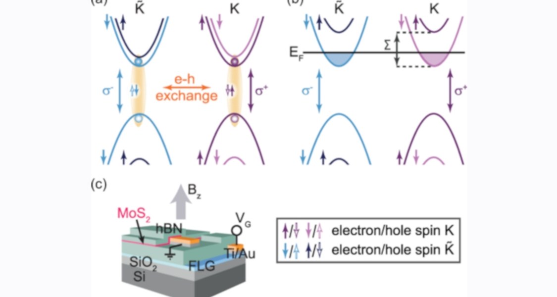 Figure 1 im Artikel Exchange Energy of the Ferromagnetic Electronic Ground State in a Monolayer Semiconductor
