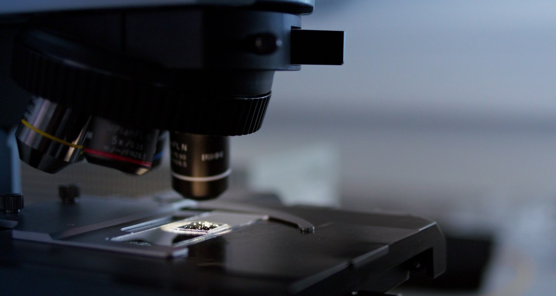 Close-up of samples on a tray placed under the lens of a microscope