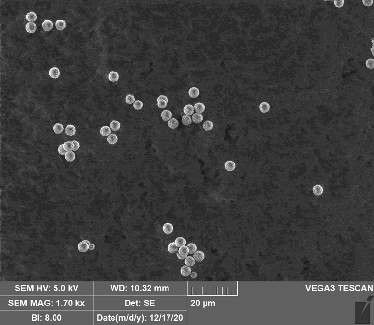 Mikroskopaufnahme von PSDVB-Partikeln
