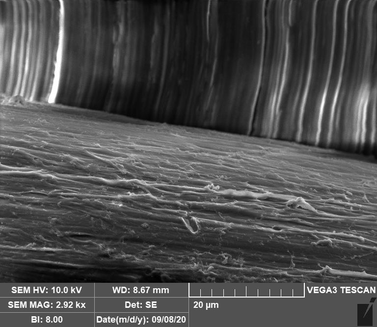 REM-Aufnahme von funktionalisiertem Polymermaterial.